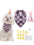 Birthday Party Pack for Dogs