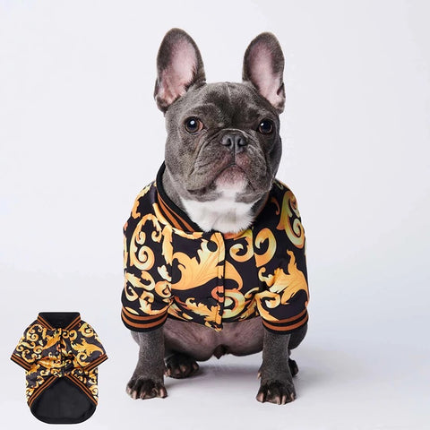 Lux Fashion Bomber Jacket for dogs