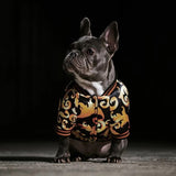 Lux Fashion Bomber Jacket for dogs